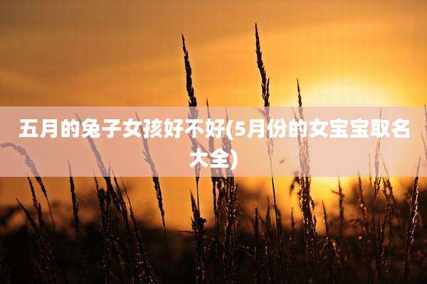 五月的兔子女孩好不好(5月份的女宝宝取名大全)