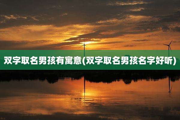 双字取名男孩有寓意(双字取名男孩名字好听)