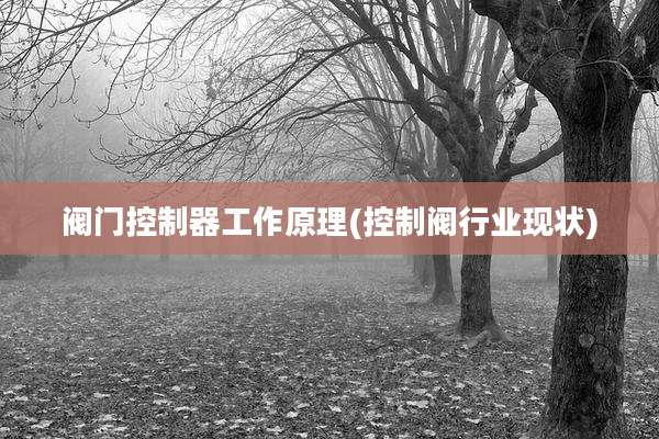 阀门控制器工作原理(控制阀行业现状)