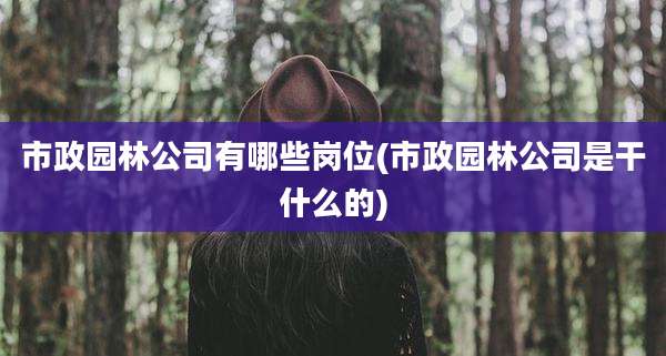 市政园林公司有哪些岗位(市政园林公司是干什么的)