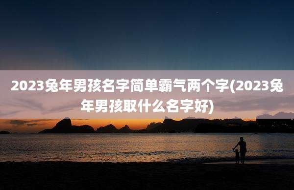 2023兔年男孩名字简单霸气两个字(2023兔年男孩取什么名字好)