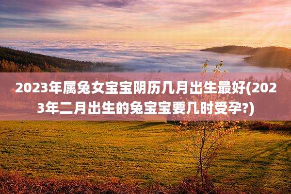 2023年属兔女宝宝阴历几月出生最好(2023年二月出生的兔宝宝要几时受孕?)