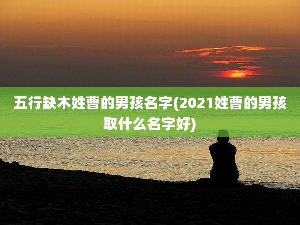 五行缺木姓曹的男孩名字(2021姓曹的男孩取什么名字好)