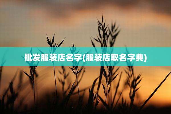 批发服装店名字(服装店取名字典)