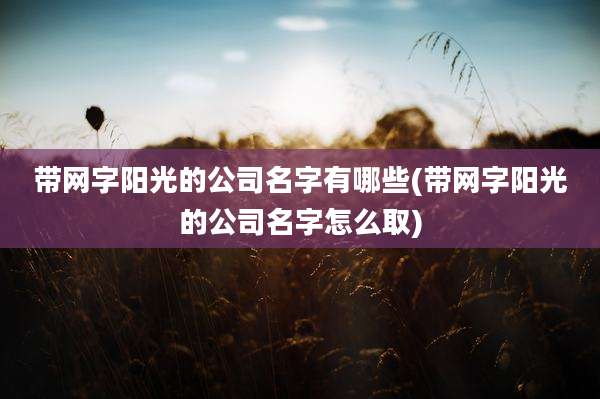 带网字阳光的公司名字有哪些(带网字阳光的公司名字怎么取)
