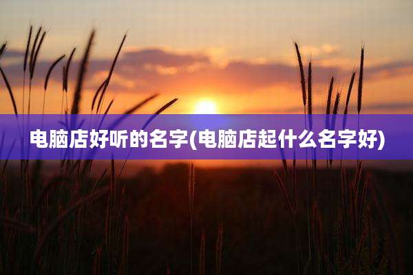 电脑店好听的名字(电脑店起什么名字好)