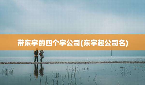 带东字的四个字公司(东字起公司名)