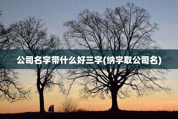 公司名字带什么好三字(纳字取公司名)