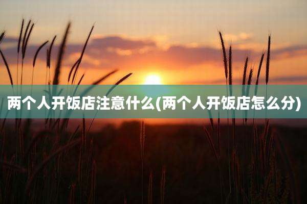 两个人开饭店注意什么(两个人开饭店怎么分)