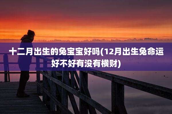 十二月出生的兔宝宝好吗(12月出生兔命运好不好有没有横财)