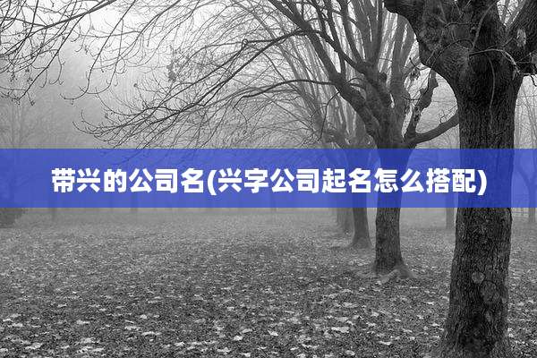带兴的公司名(兴字公司起名怎么搭配)