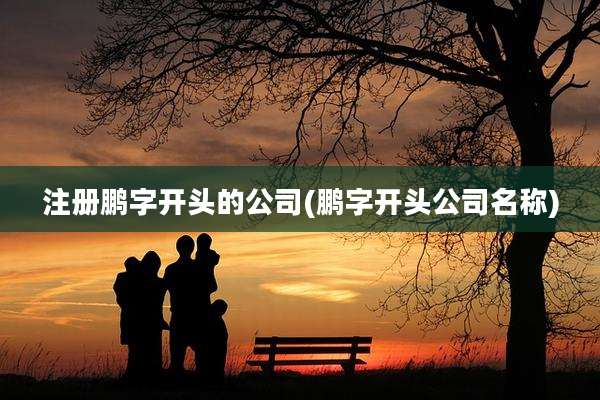 注册鹏字开头的公司(鹏字开头公司名称)