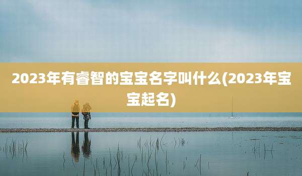 2023年有睿智的宝宝名字叫什么(2023年宝宝起名)