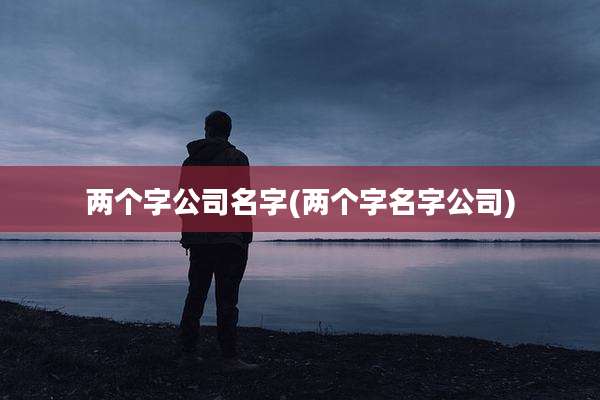 两个字公司名字(两个字名字公司)