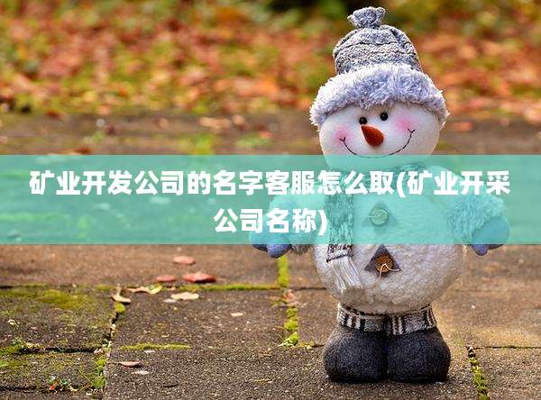 矿业开发公司的名字客服怎么取(矿业开采公司名称)