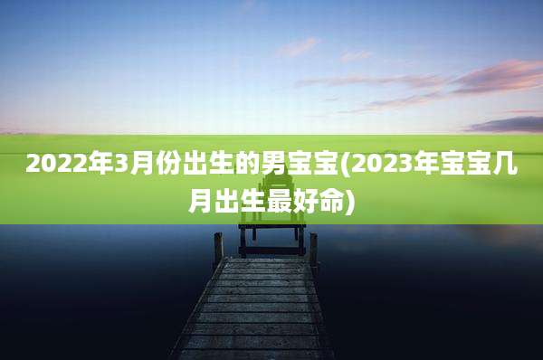 2022年3月份出生的男宝宝(2023年宝宝几月出生最好命)