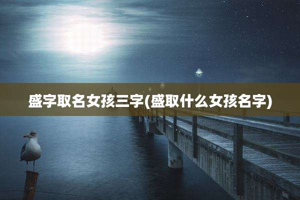 盛字取名女孩三字(盛取什么女孩名字)