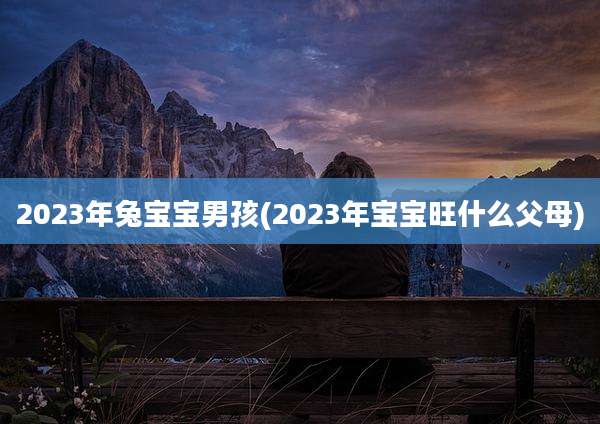2023年兔宝宝男孩(2023年宝宝旺什么父母)