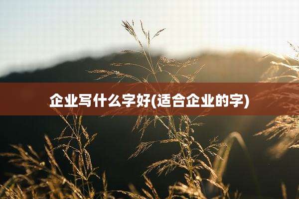 企业写什么字好(适合企业的字)