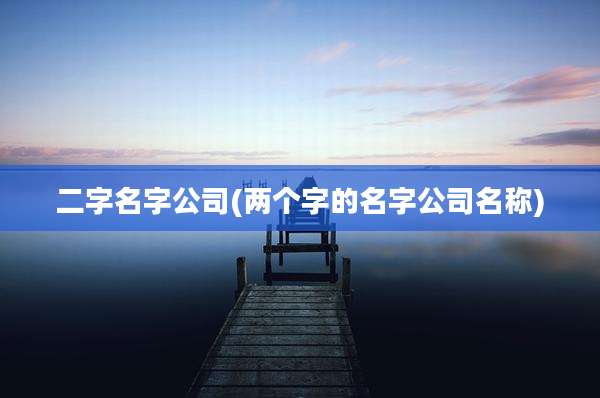 二字名字公司(两个字的名字公司名称)
