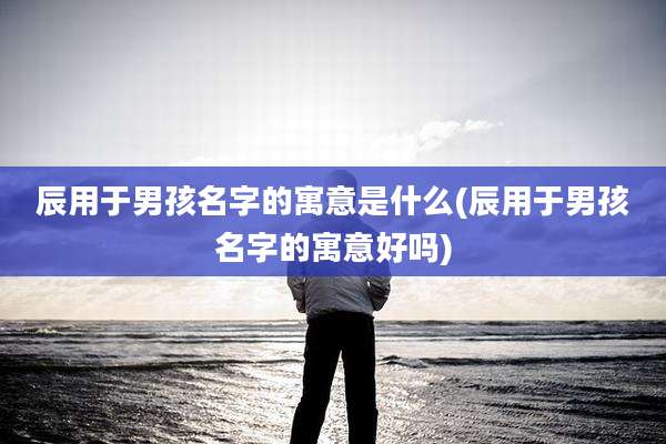 辰用于男孩名字的寓意是什么(辰用于男孩名字的寓意好吗)