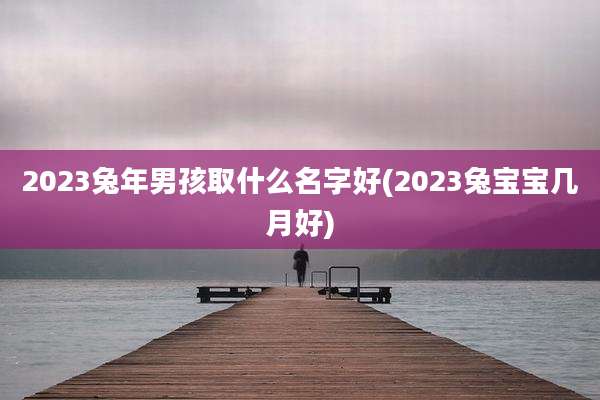2023兔年男孩取什么名字好(2023兔宝宝几月好)