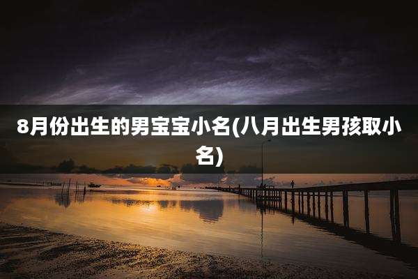 8月份出生的男宝宝小名(八月出生男孩取小名)