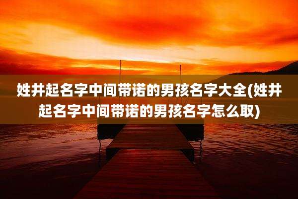 姓井起名字中间带诺的男孩名字大全(姓井起名字中间带诺的男孩名字怎么取)