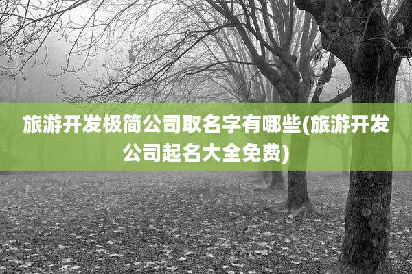 旅游开发极简公司取名字有哪些(旅游开发公司起名大全免费)