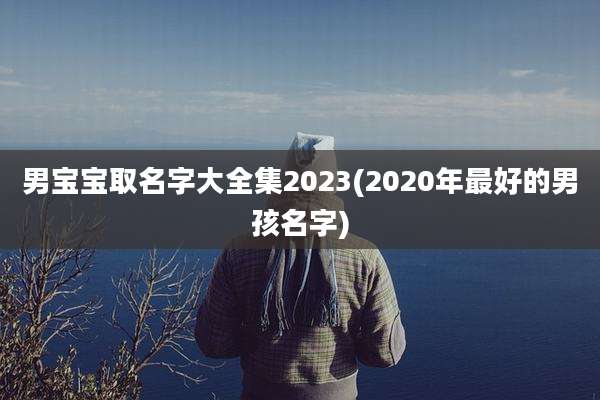 男宝宝取名字大全集2023(2020年最好的男孩名字)