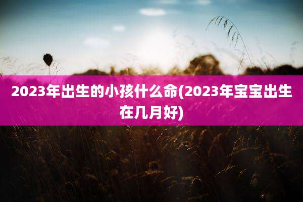 2023年出生的小孩什么命(2023年宝宝出生在几月好)