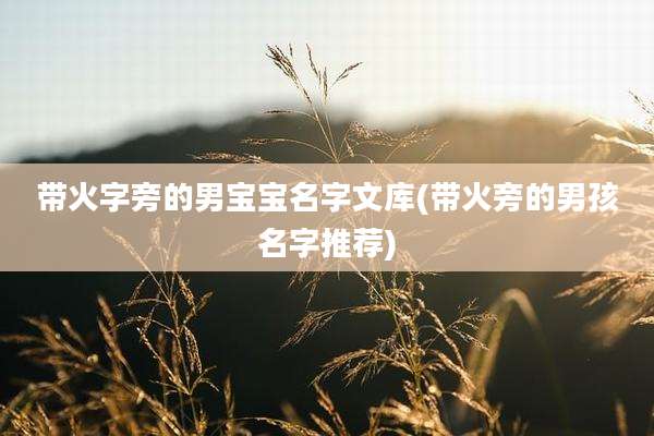 带火字旁的男宝宝名字文库(带火旁的男孩名字推荐)