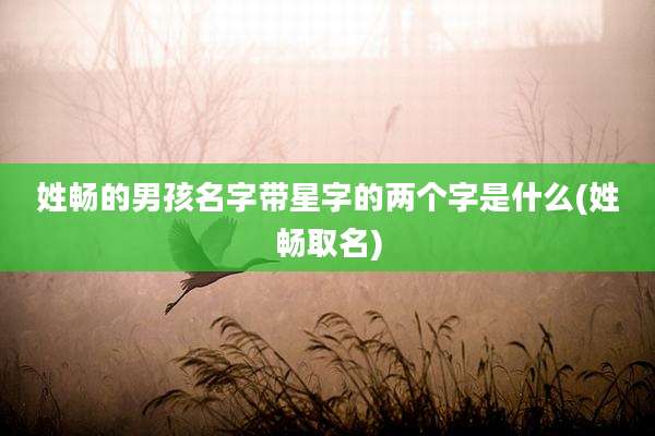 姓畅的男孩名字带星字的两个字是什么(姓畅取名)