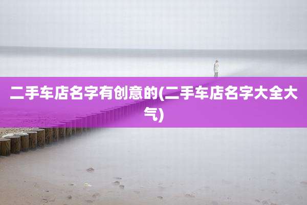 二手车店名字有创意的(二手车店名字大全大气)