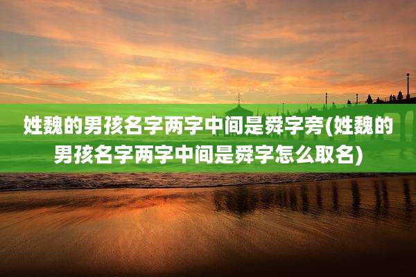 姓魏的男孩名字两字中间是舜字旁(姓魏的男孩名字两字中间是舜字怎么取名)
