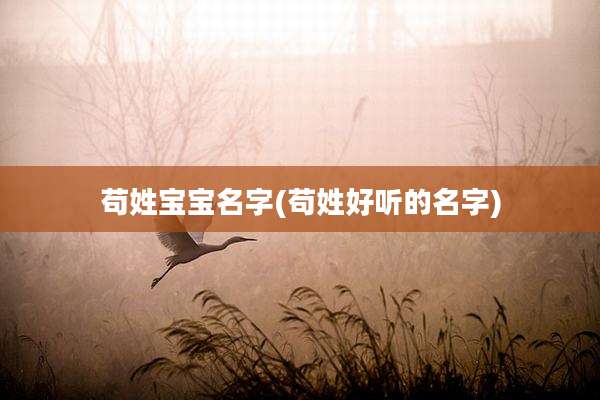 苟姓宝宝名字(苟姓好听的名字)