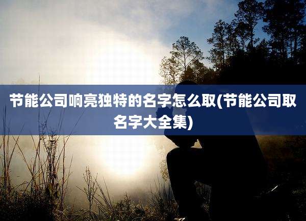 节能公司响亮独特的名字怎么取(节能公司取名字大全集)