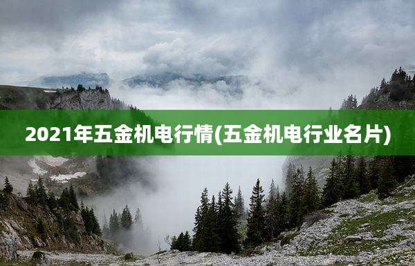 2021年五金机电行情(五金机电行业名片)
