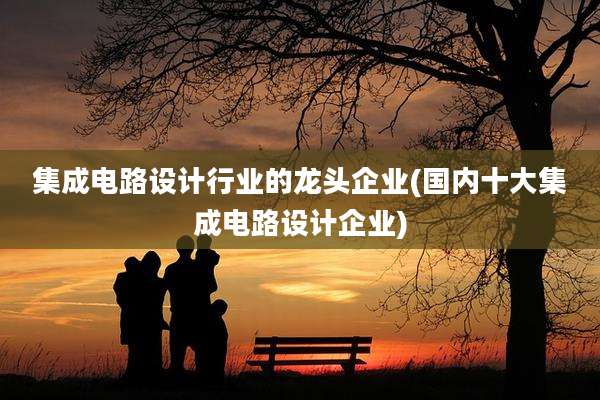 集成电路设计行业的龙头企业(国内十大集成电路设计企业)