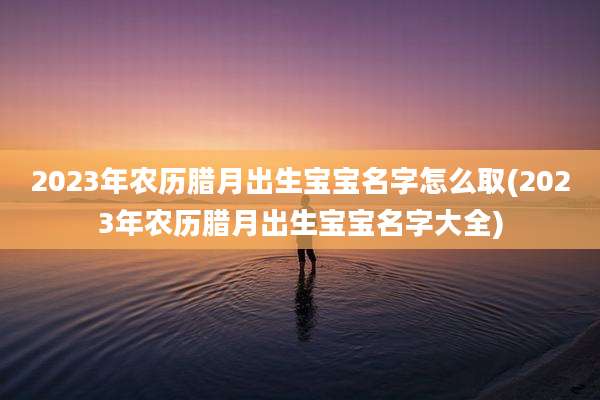 2023年农历腊月出生宝宝名字怎么取(2023年农历腊月出生宝宝名字大全)