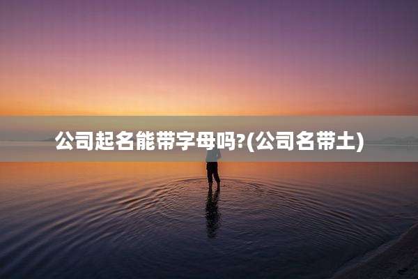 公司起名能带字母吗?(公司名带土)