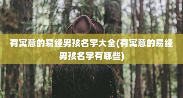 有寓意的易经男孩名字大全(有寓意的易经男孩名字有哪些)