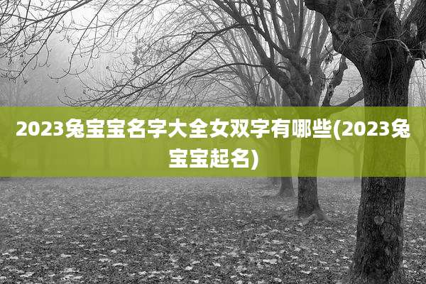 2023兔宝宝名字大全女双字有哪些(2023兔宝宝起名)