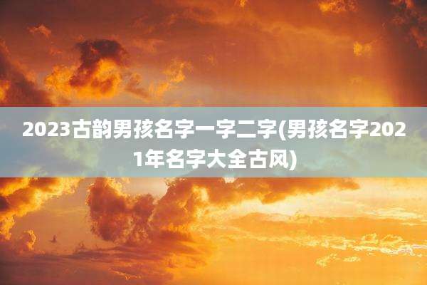 2023古韵男孩名字一字二字(男孩名字2021年名字大全古风)
