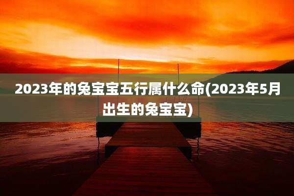 2023年的兔宝宝五行属什么命(2023年5月出生的兔宝宝)