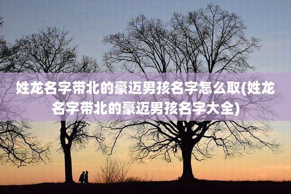 姓龙名字带北的豪迈男孩名字怎么取(姓龙名字带北的豪迈男孩名字大全)