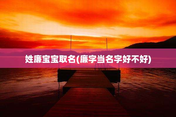 姓廉宝宝取名(廉字当名字好不好)