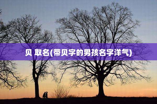贝 取名(带贝字的男孩名字洋气)