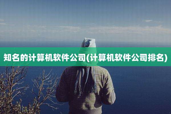知名的计算机软件公司(计算机软件公司排名)
