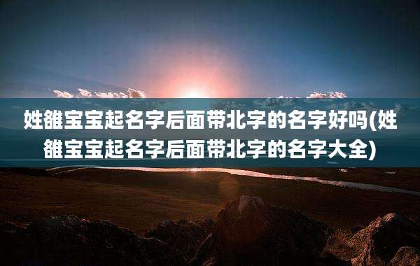 姓雒宝宝起名字后面带北字的名字好吗(姓雒宝宝起名字后面带北字的名字大全)